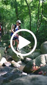 BIB:  <button type="button" onclick="openModal(28053144)" class="btn btn-primary btn-sm float-right" data-toggle="modal" data-target=".modal-high-quality">
                <i class="fa fa-download"></i> Download
                </button>